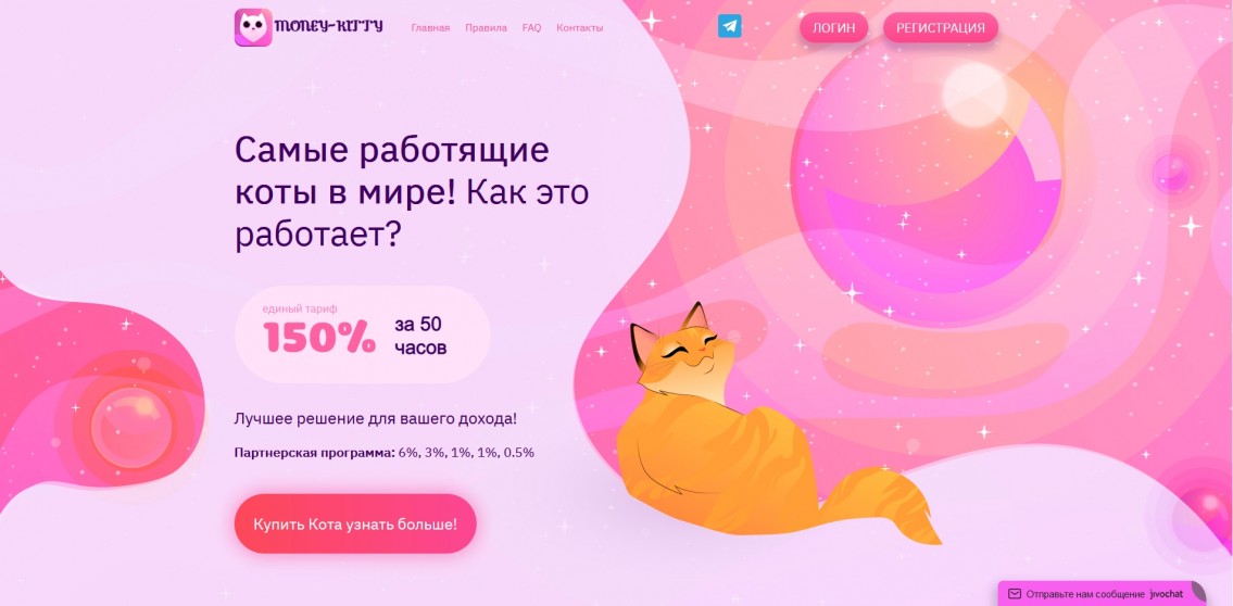 Money-Kitty